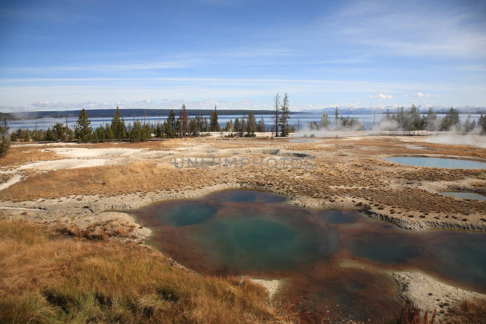 Steaming geothermal hot springs on the shore of Yellowstone Lake