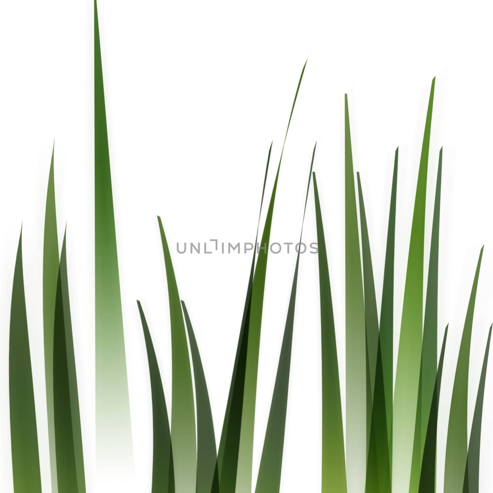 Illustration of green grass. Close up.