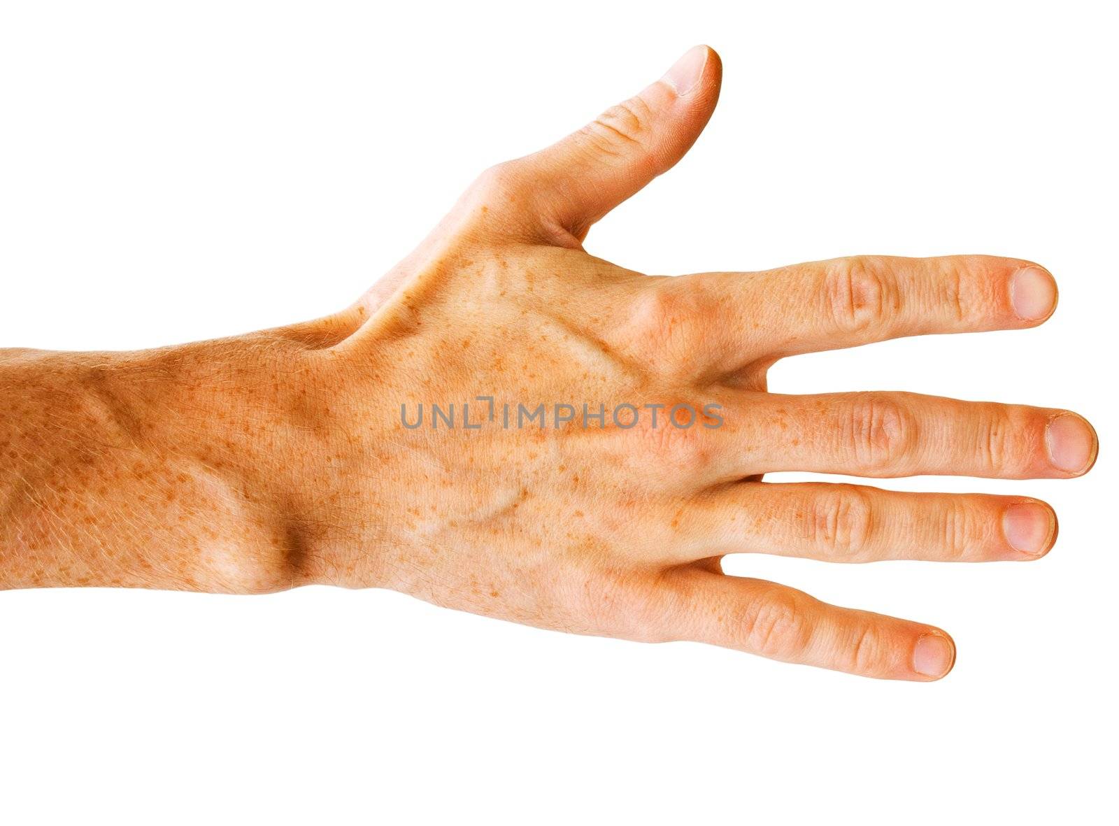 The hand isolated on a white background