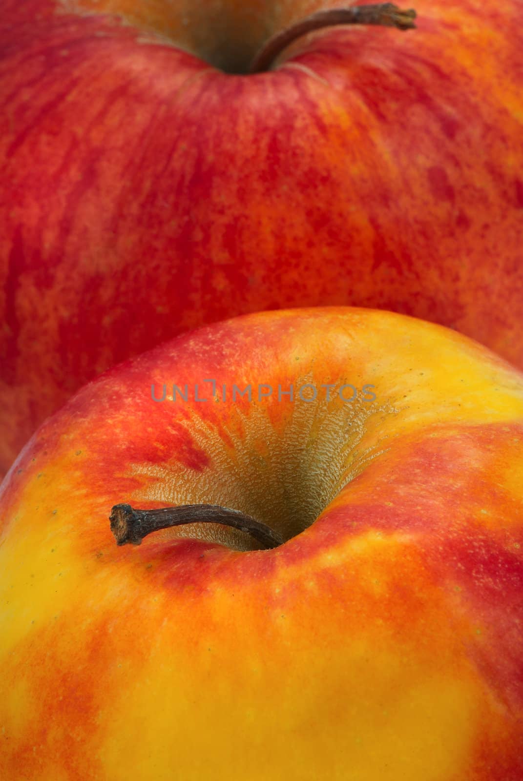 Ripe two apples which has been removed in studio. A close up