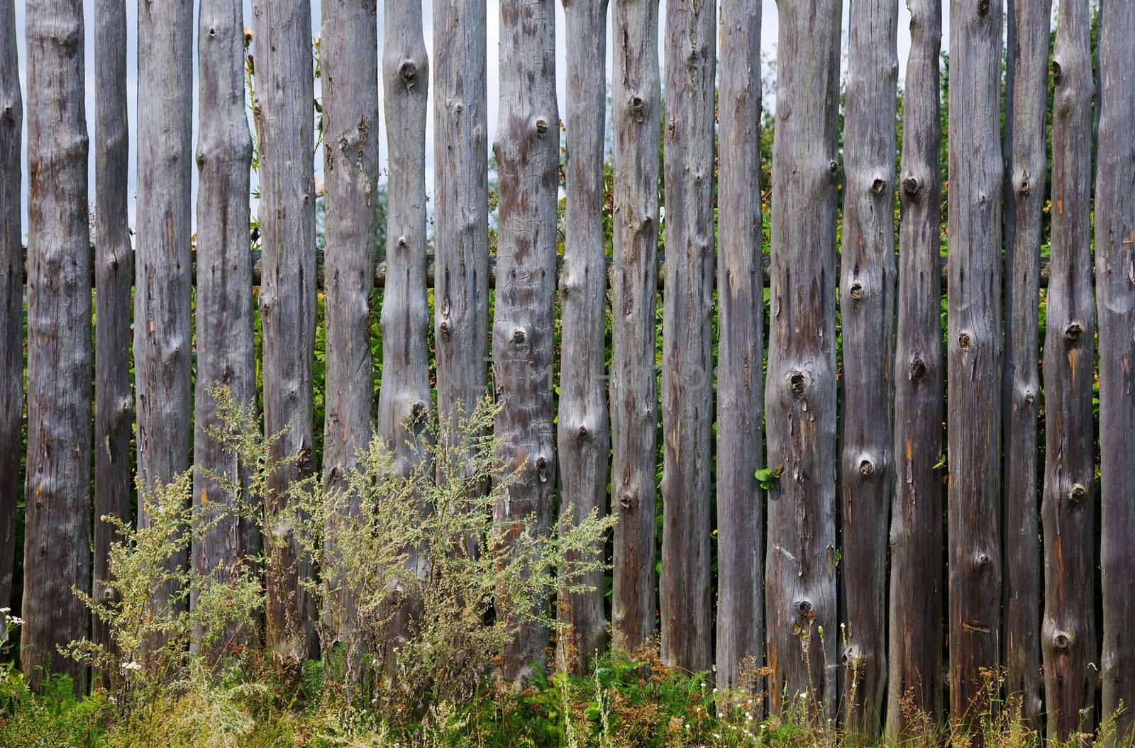 High old wooden fence round a kitchen garden