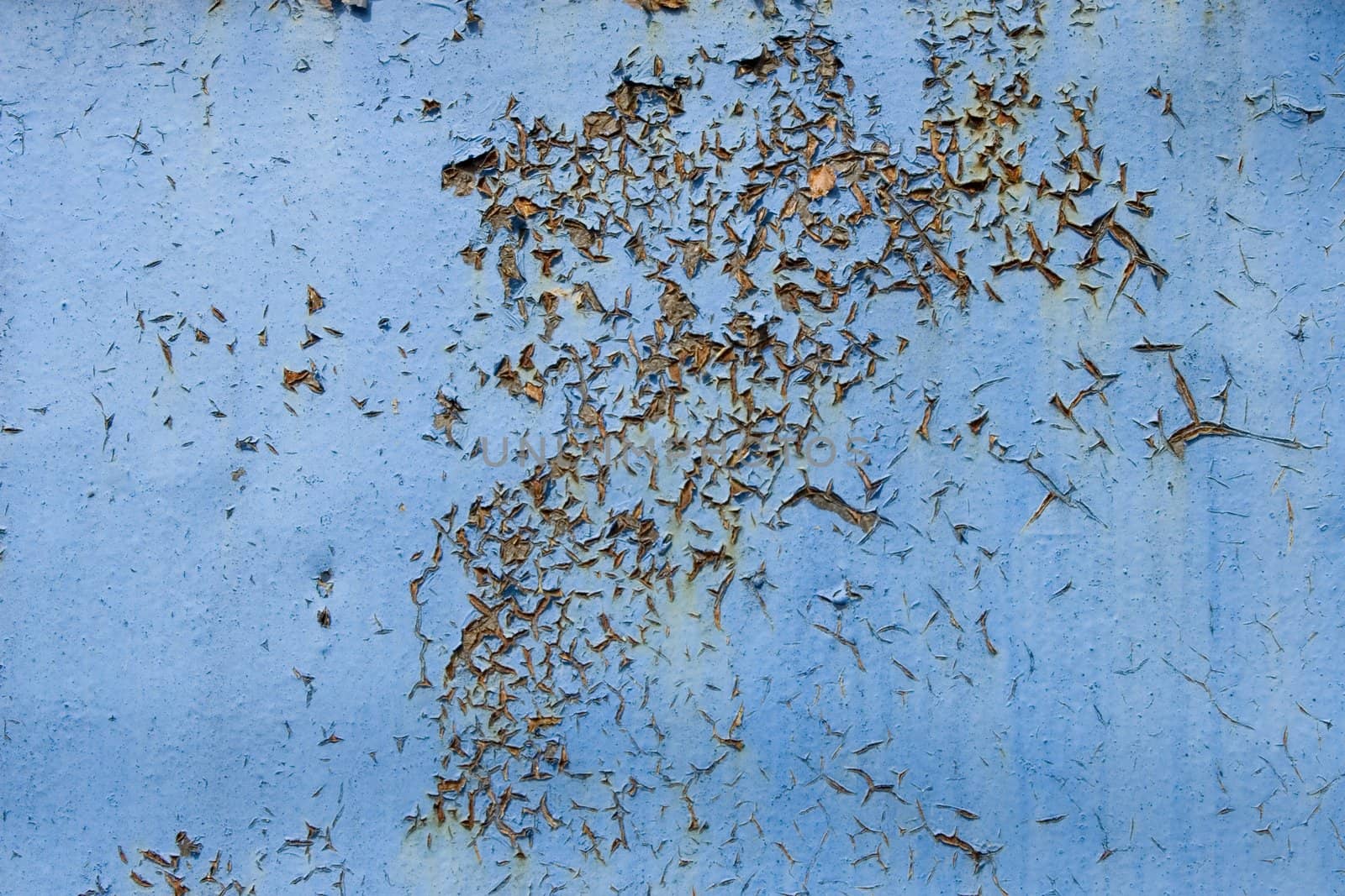 Texture of the old blue cracked paint