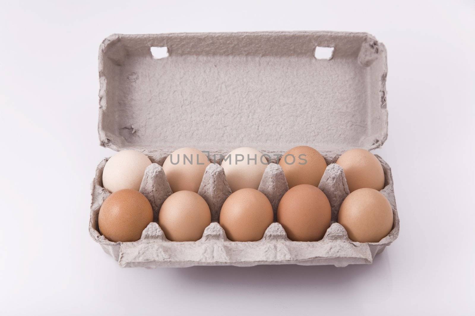 eggs in carton with white background