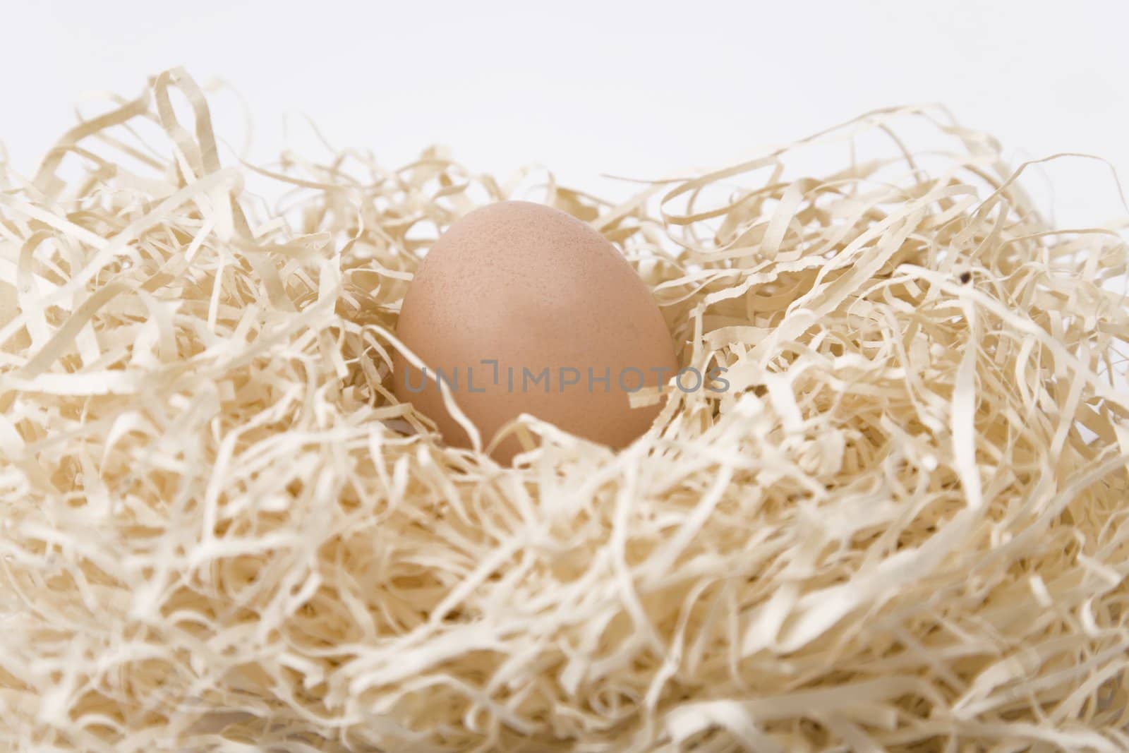 nest with egg inside on white background