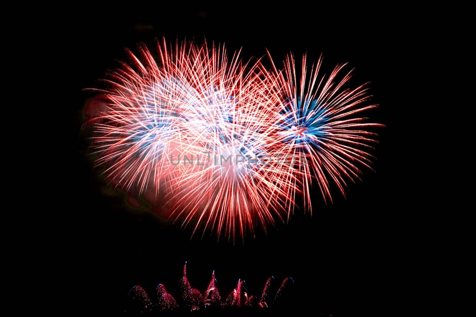 Fireworks Lighting up the Black Night Sky