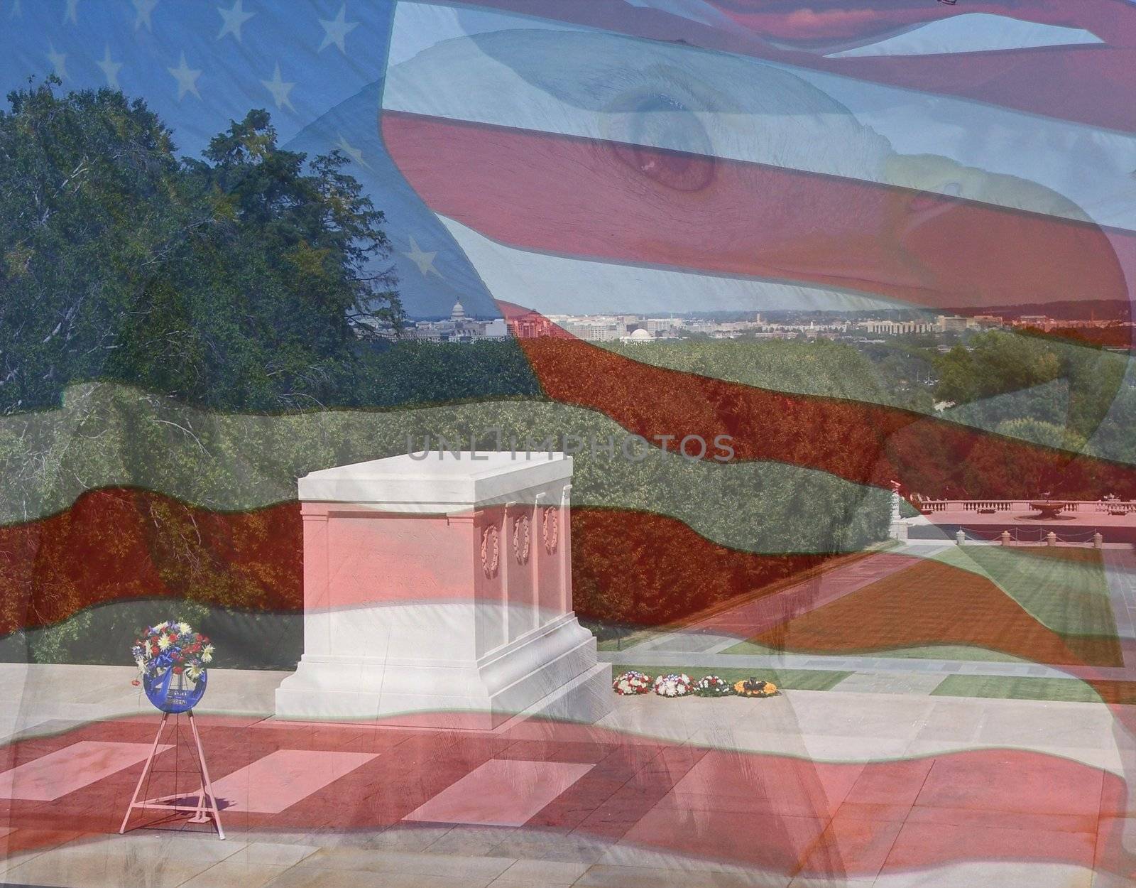 Flag, Eagle, Tomb of the Unknowns. Composite of three photos taken by the author.

