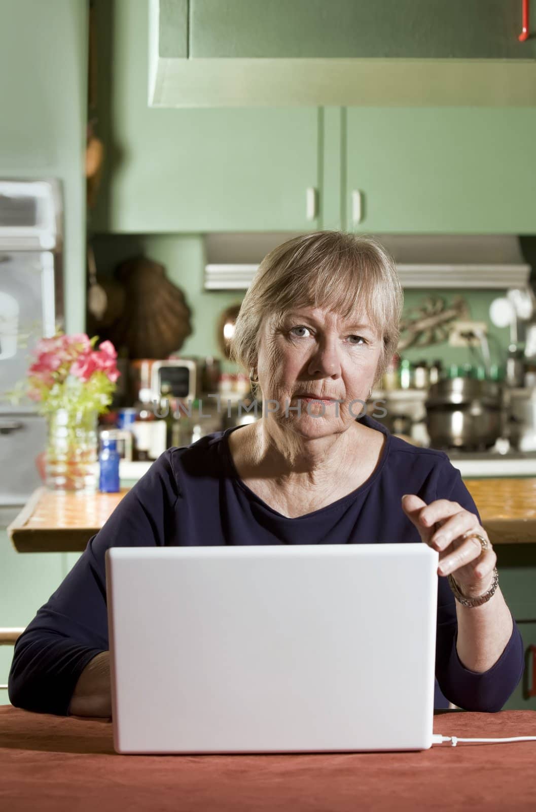 Senior Woman with a Laptop Computer by Creatista