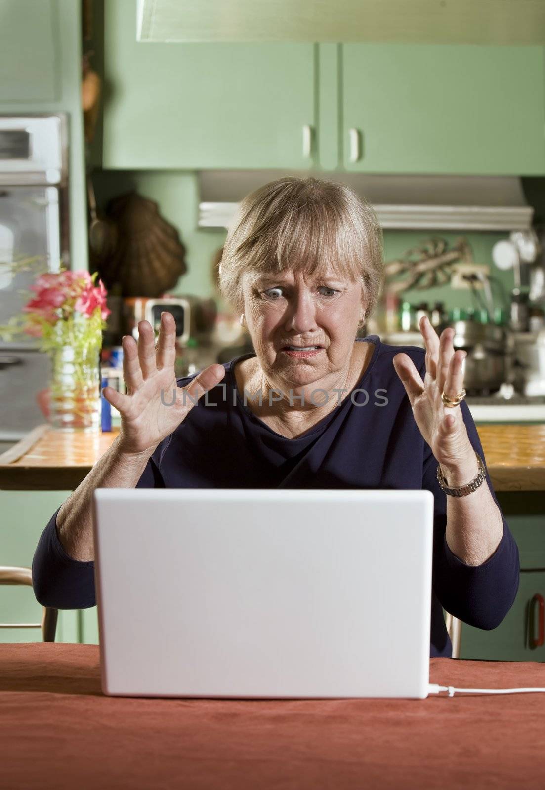 Shocked Senior Woman with a Laptop Computer by Creatista