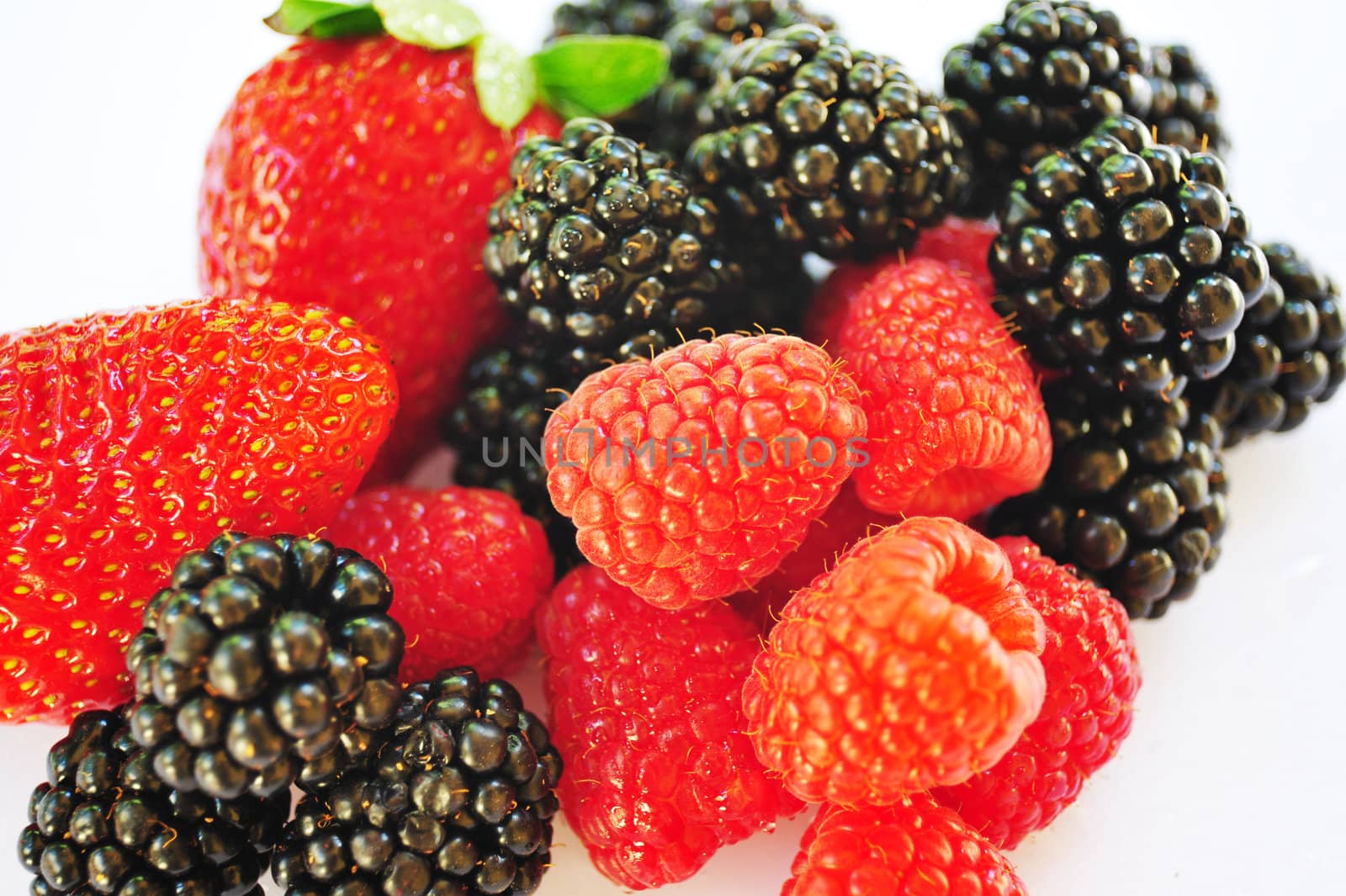 Isolated Blackberry, Raspberry and Strawberries on a white background.