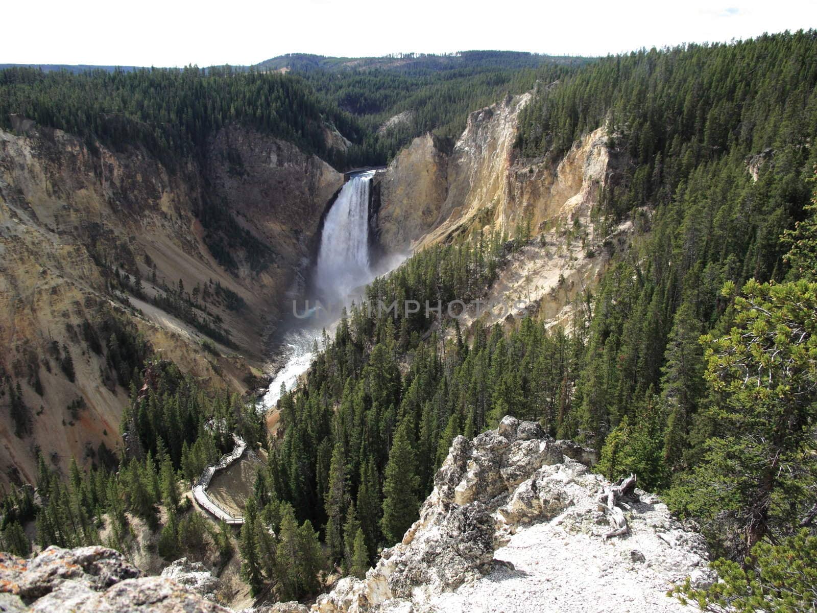 Golden cliffs and towering waterfall highlight the Grand Canyon of Yellowstone