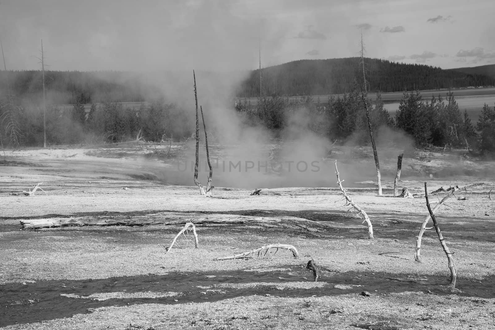 Steaming geothermal hot springs on the shore of Yellowstone Lake in black and white