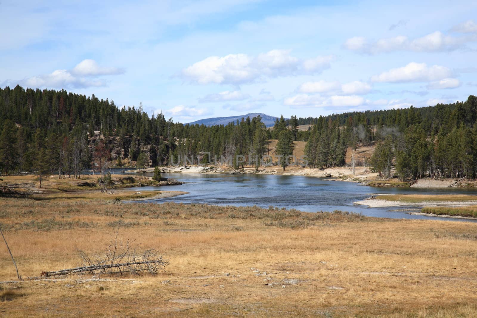 Sweeping terrain and river at Yellowstone National Park