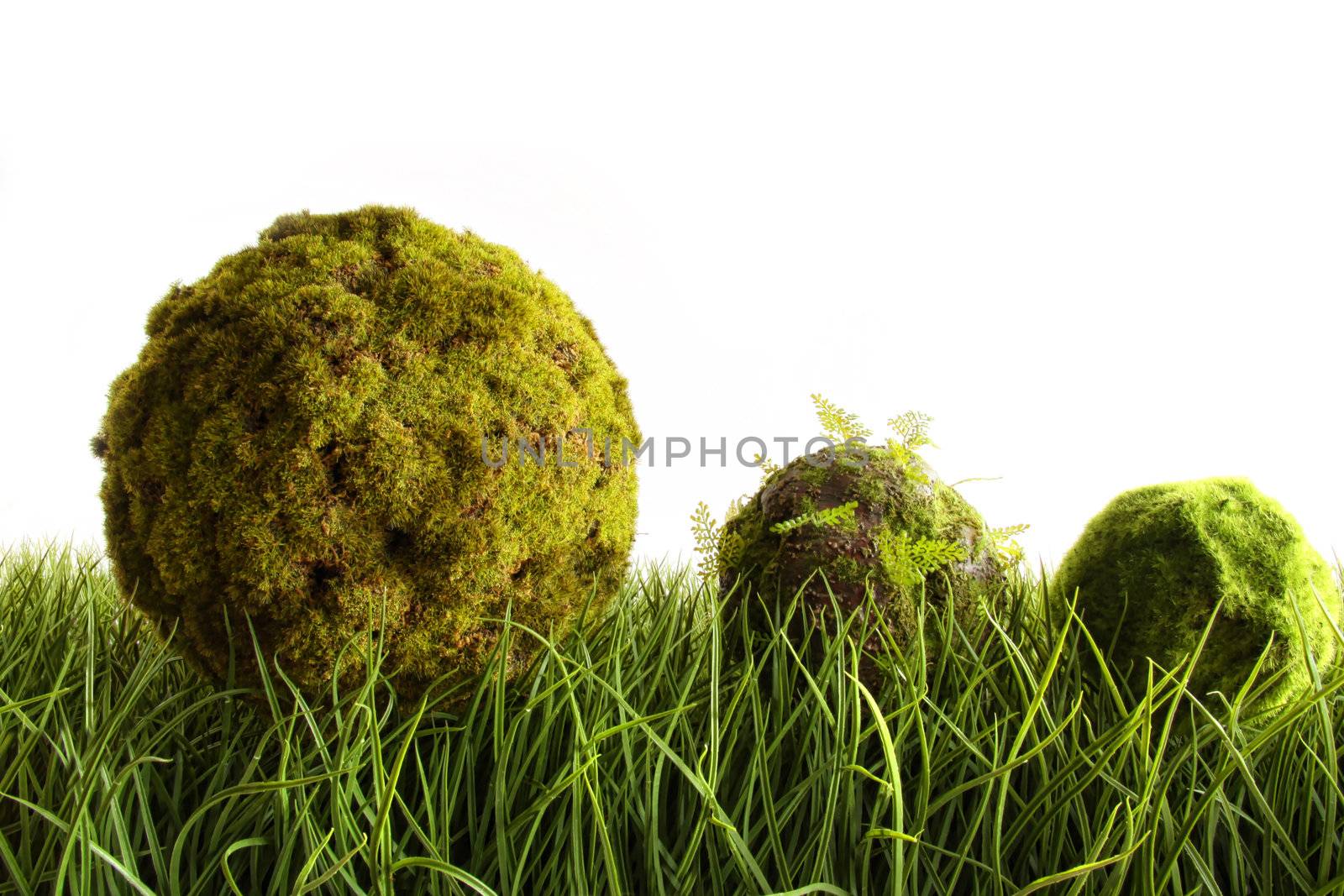 Moss covered balls laying in tall green grass