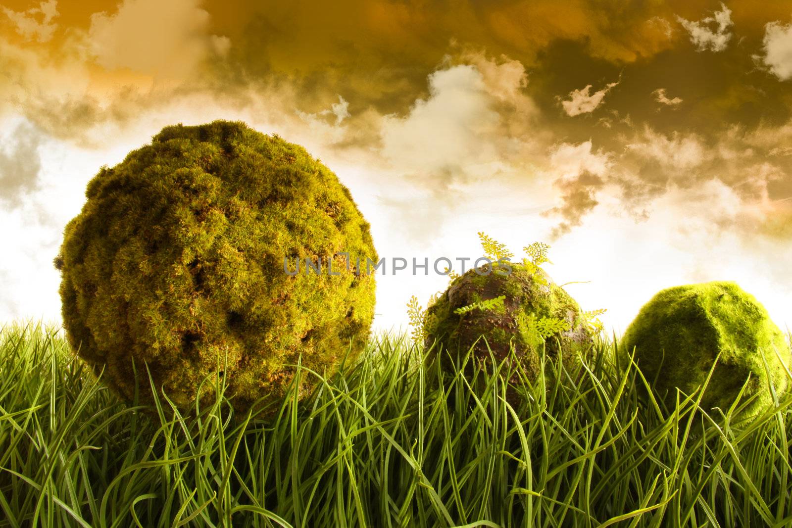 Moss covered balls laying in tall green grass