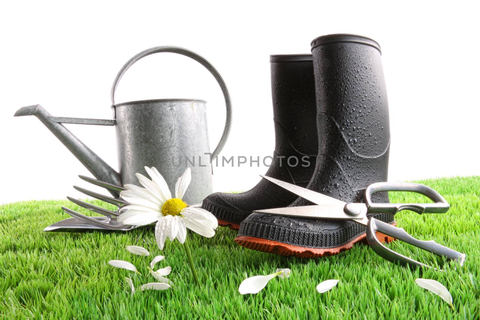Rubber boots with watering can and daisy in grass 