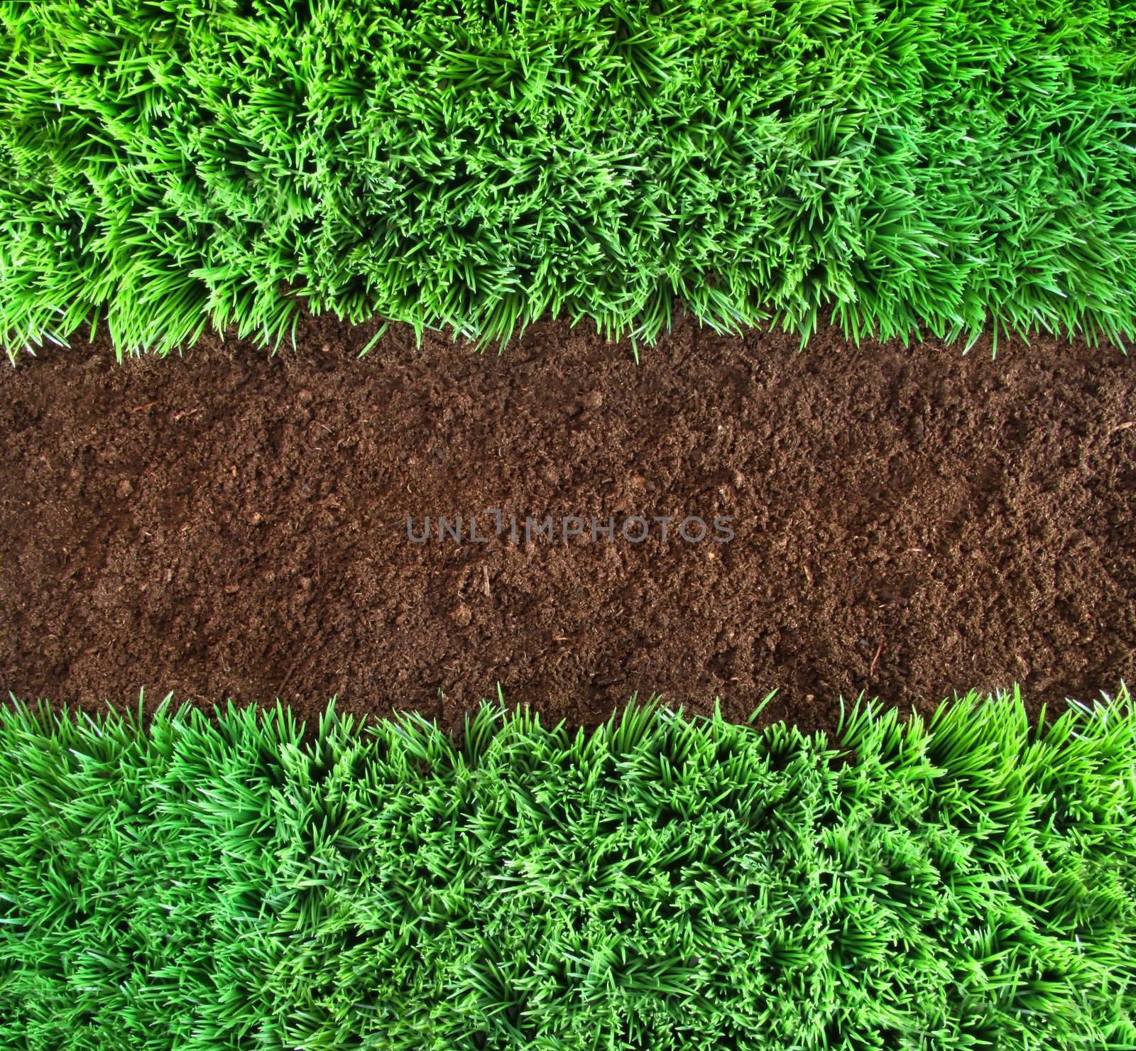 Short green grass and brown earth Background