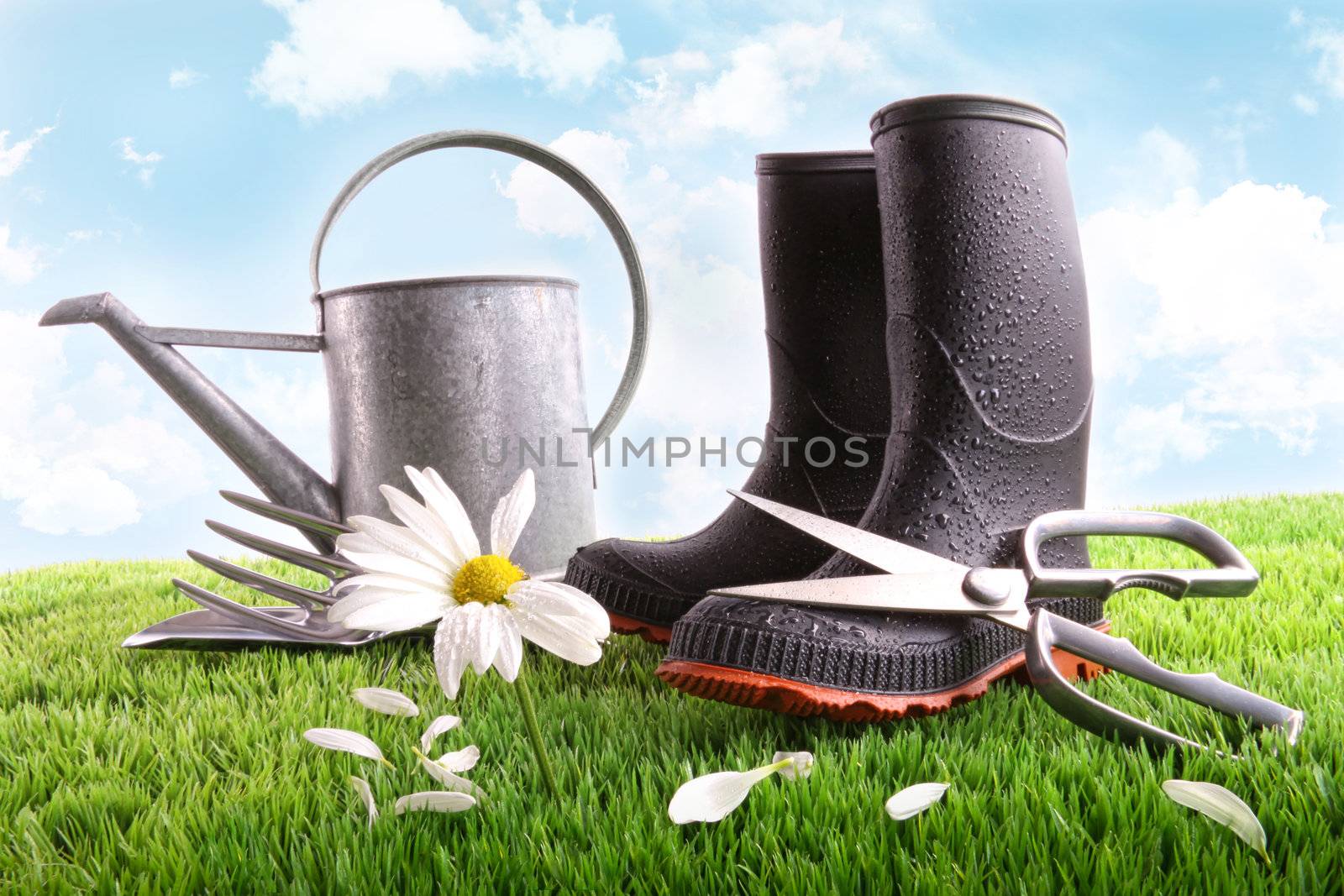 Rubber boots with watering can and daisy in grass