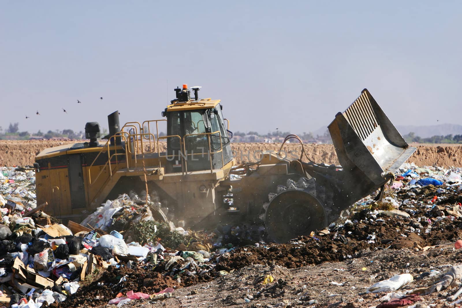 A trash compactor moves trash in a landfill. The stench is amazing!