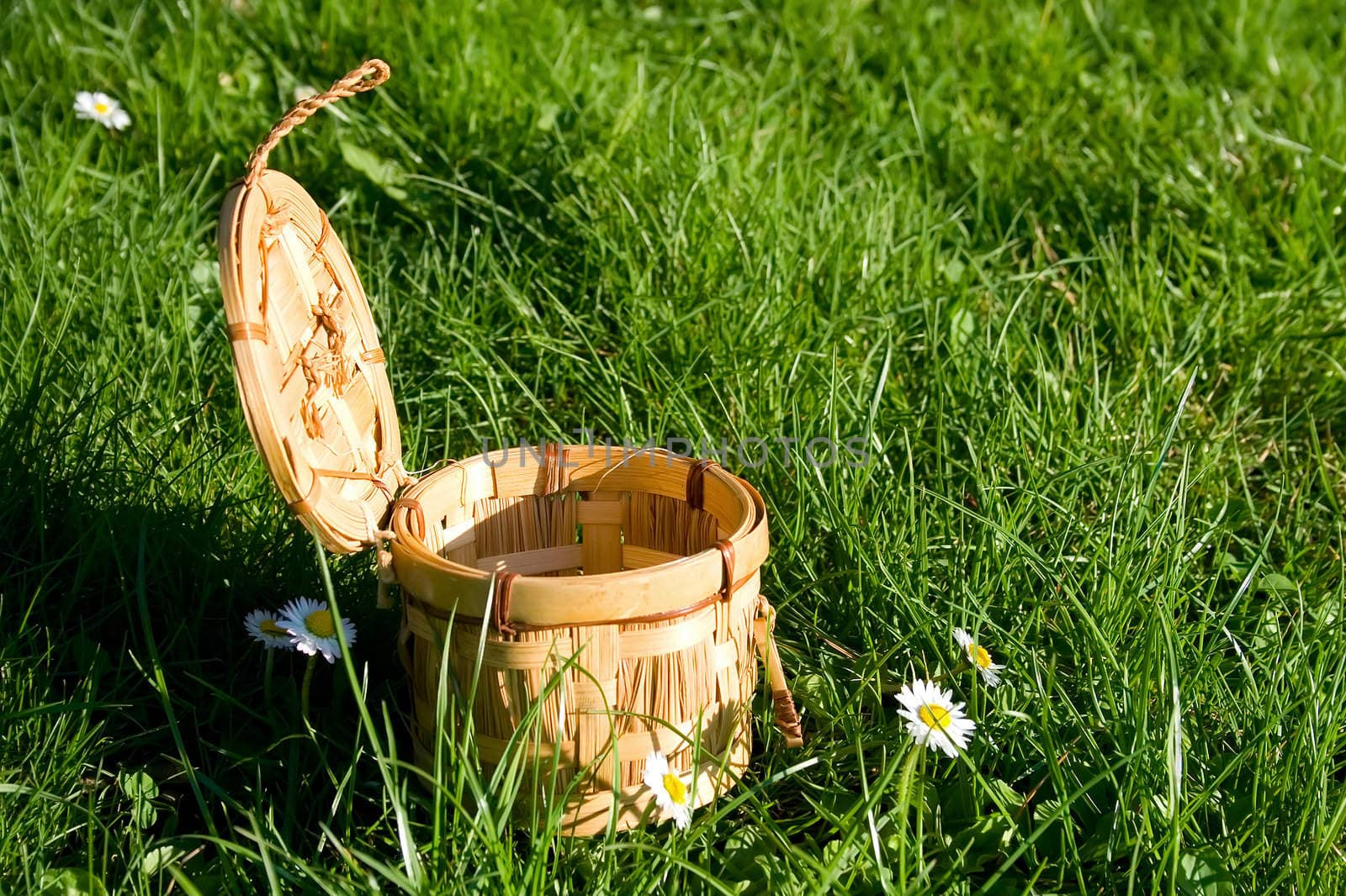 Wicker basket sitting in grass