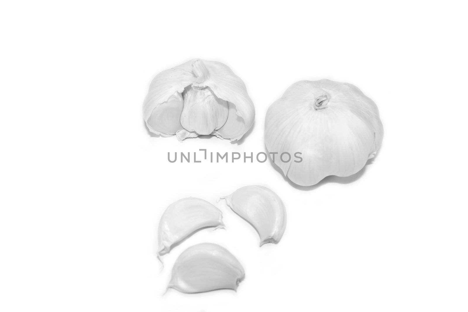 Garlic and cloves izolated on white background