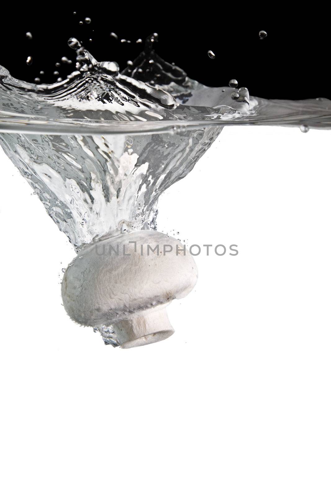 one mushroom thrown in water with black and white background