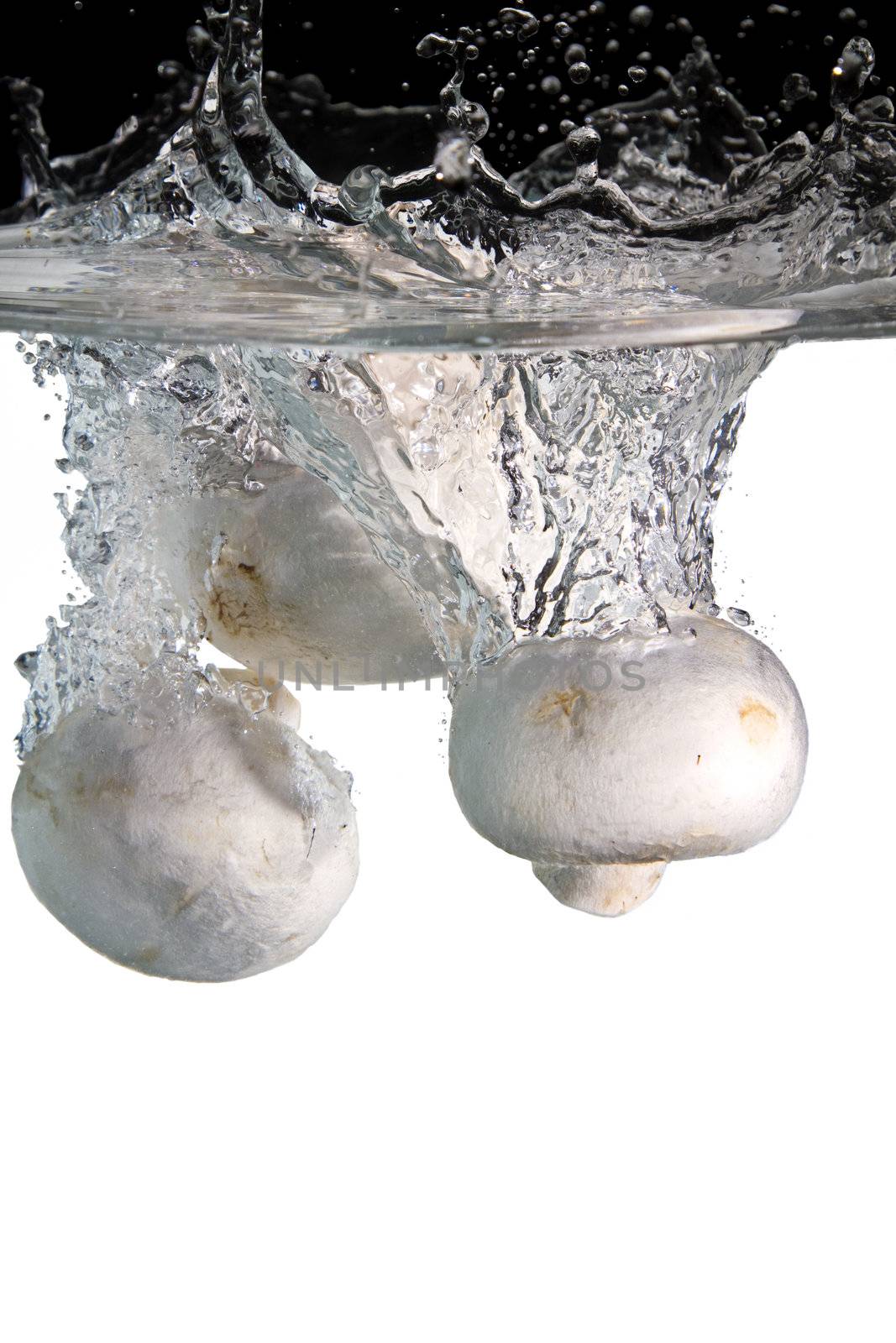 some mushrooms thrown in water with black and white background