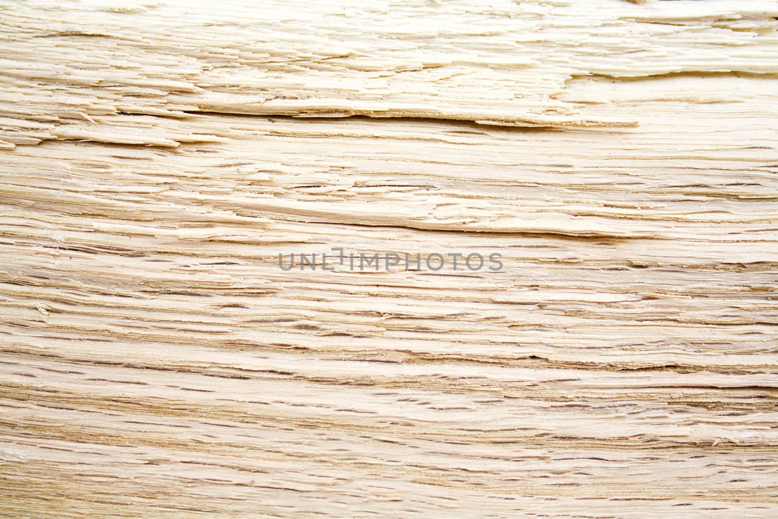 Abstract background from sliced oak