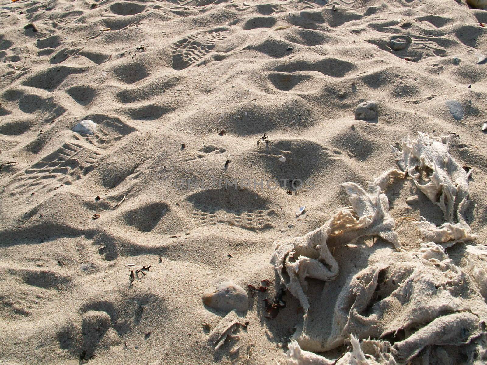 structure of a sand