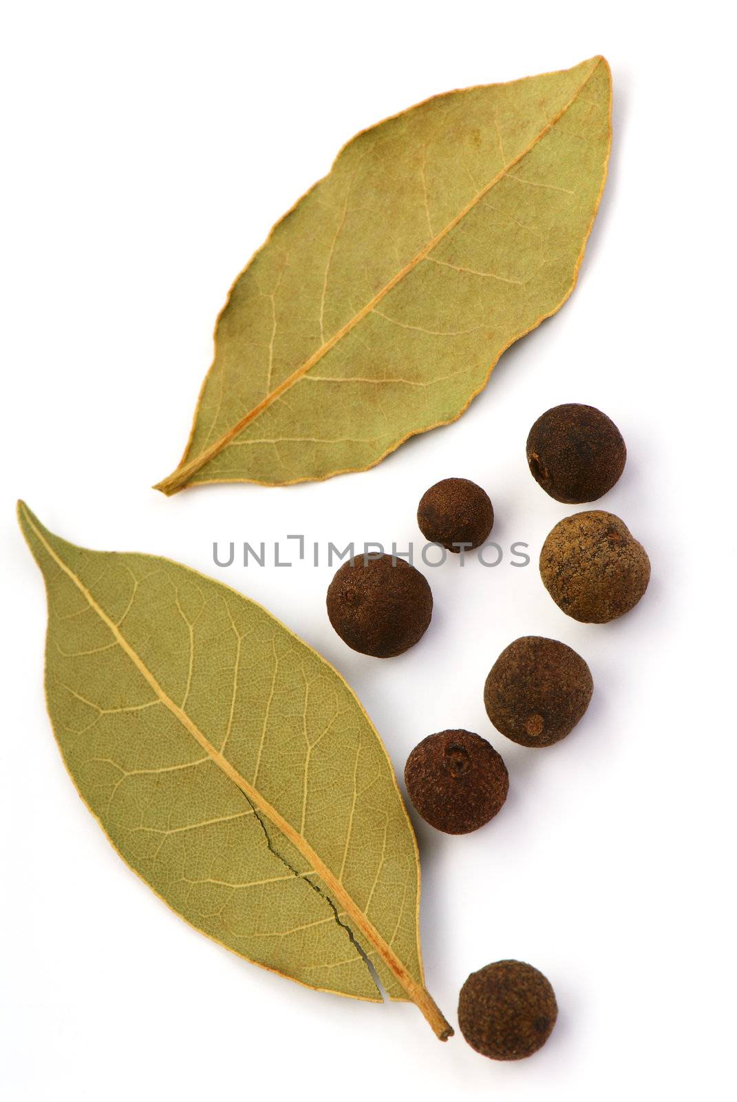 Spices on white background.  Bay leaves and fragrant pepper