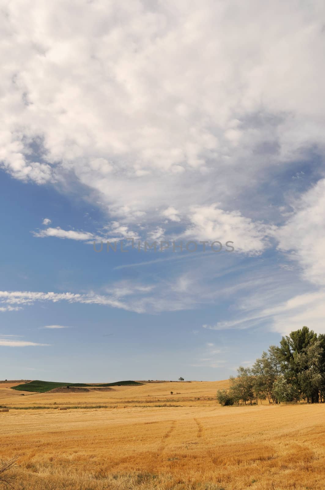 Fields after harvest