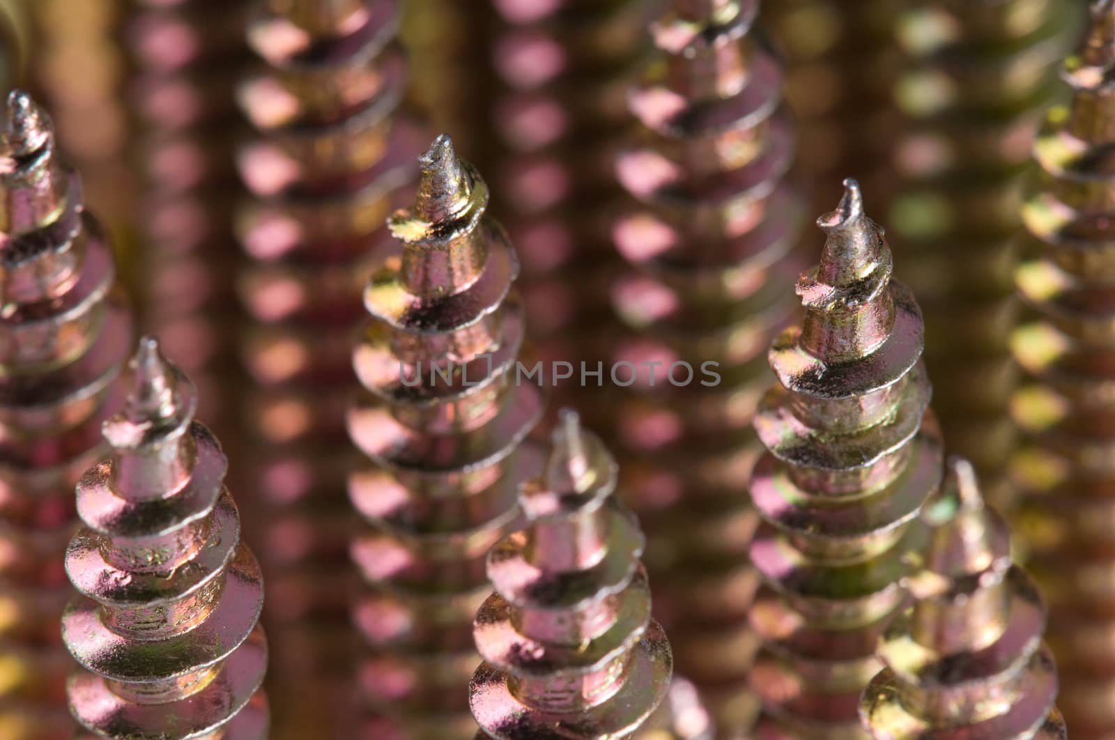 Close-up of golden screws as technology background