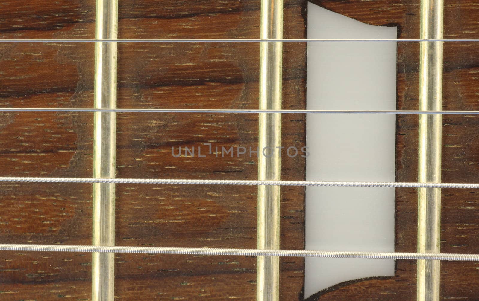 Electric guitar neck close up