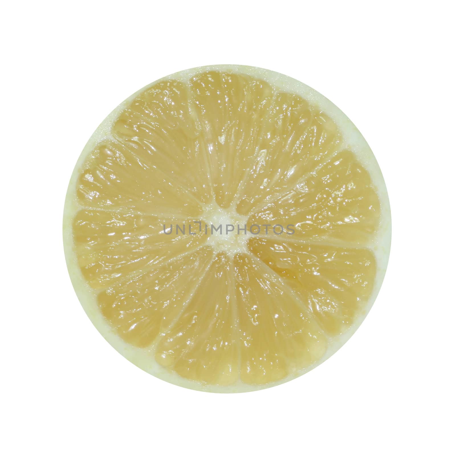 Lemon slice isolated in white