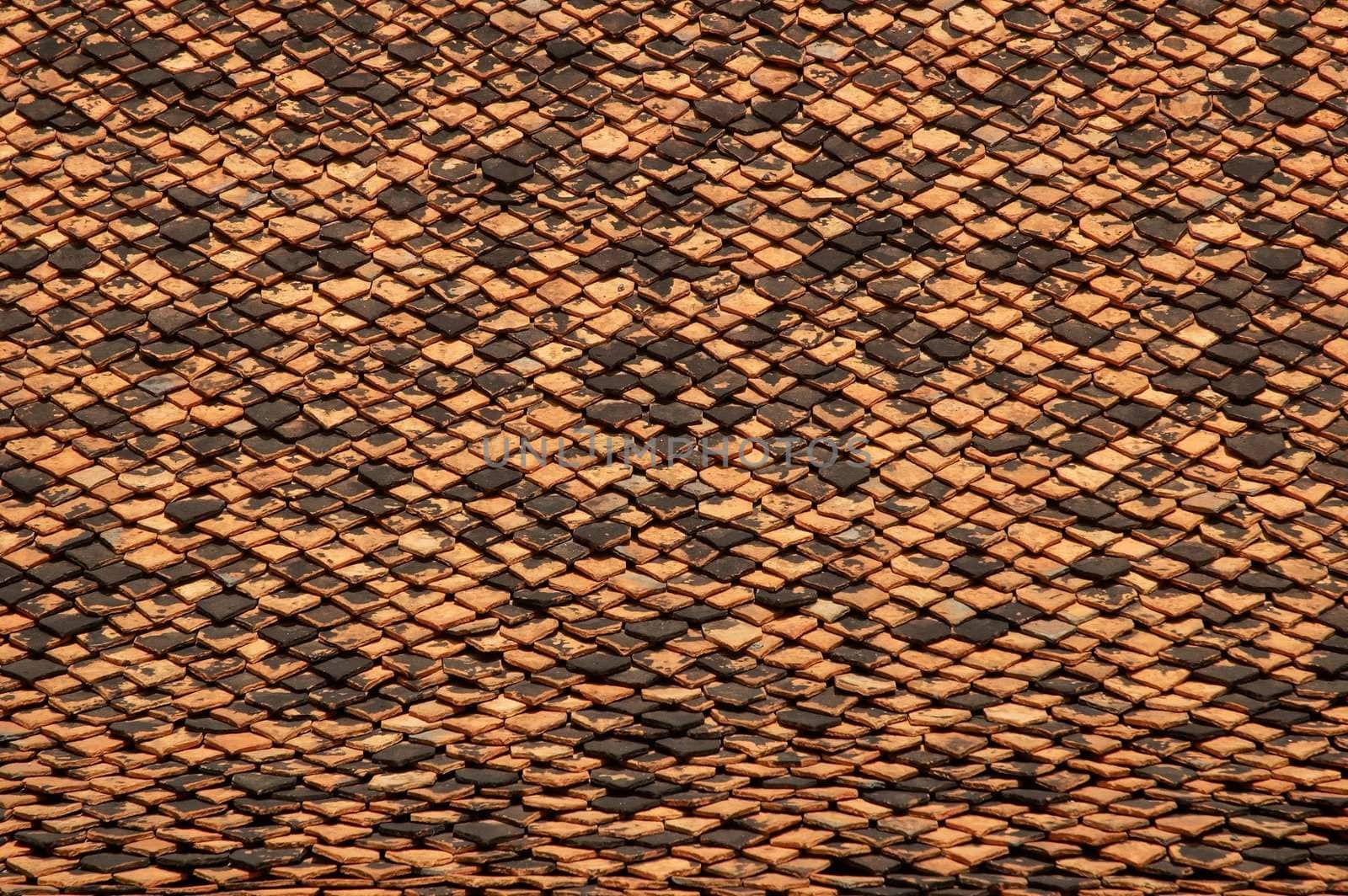 Abstract texture tiled roof . Good natural background