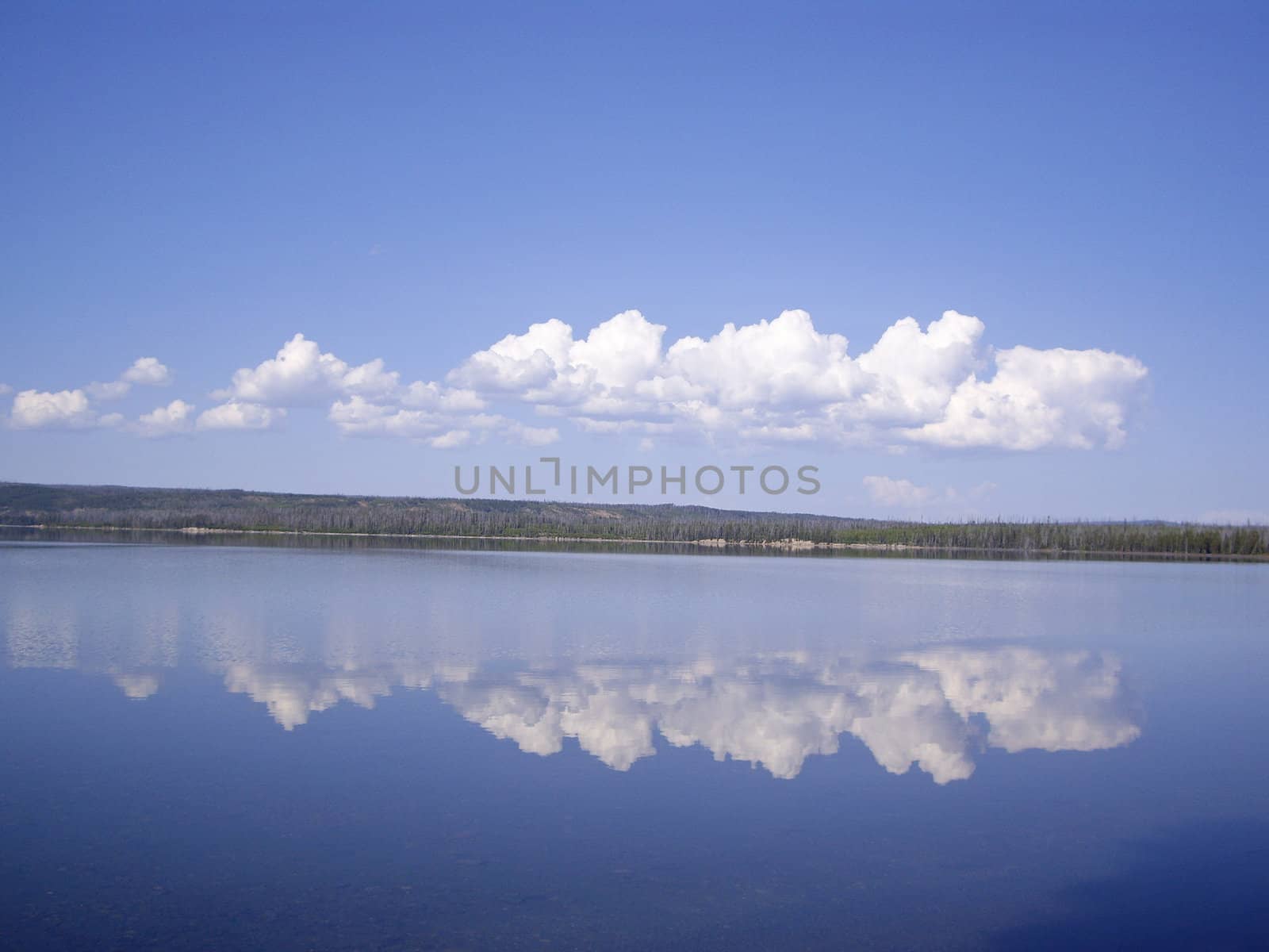 Clouds reflect on clear Yellowstone Lake USA
