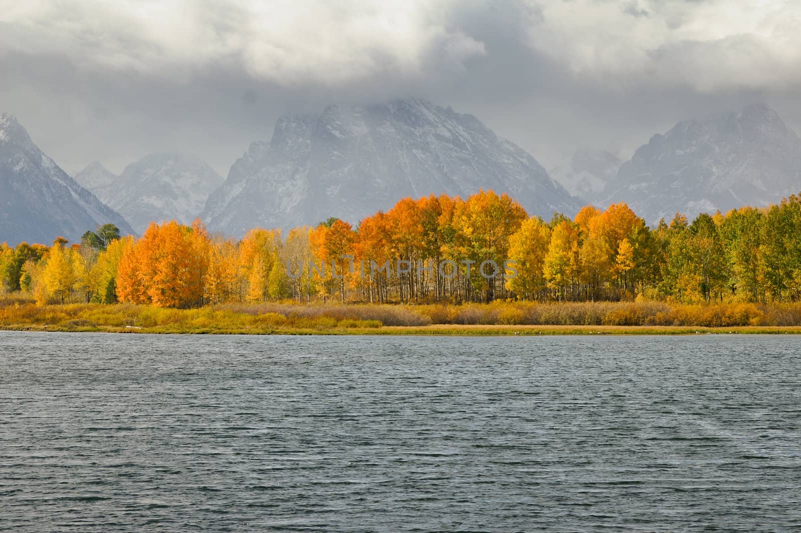Fall colors on trees at Oxbow Bend rivers edge