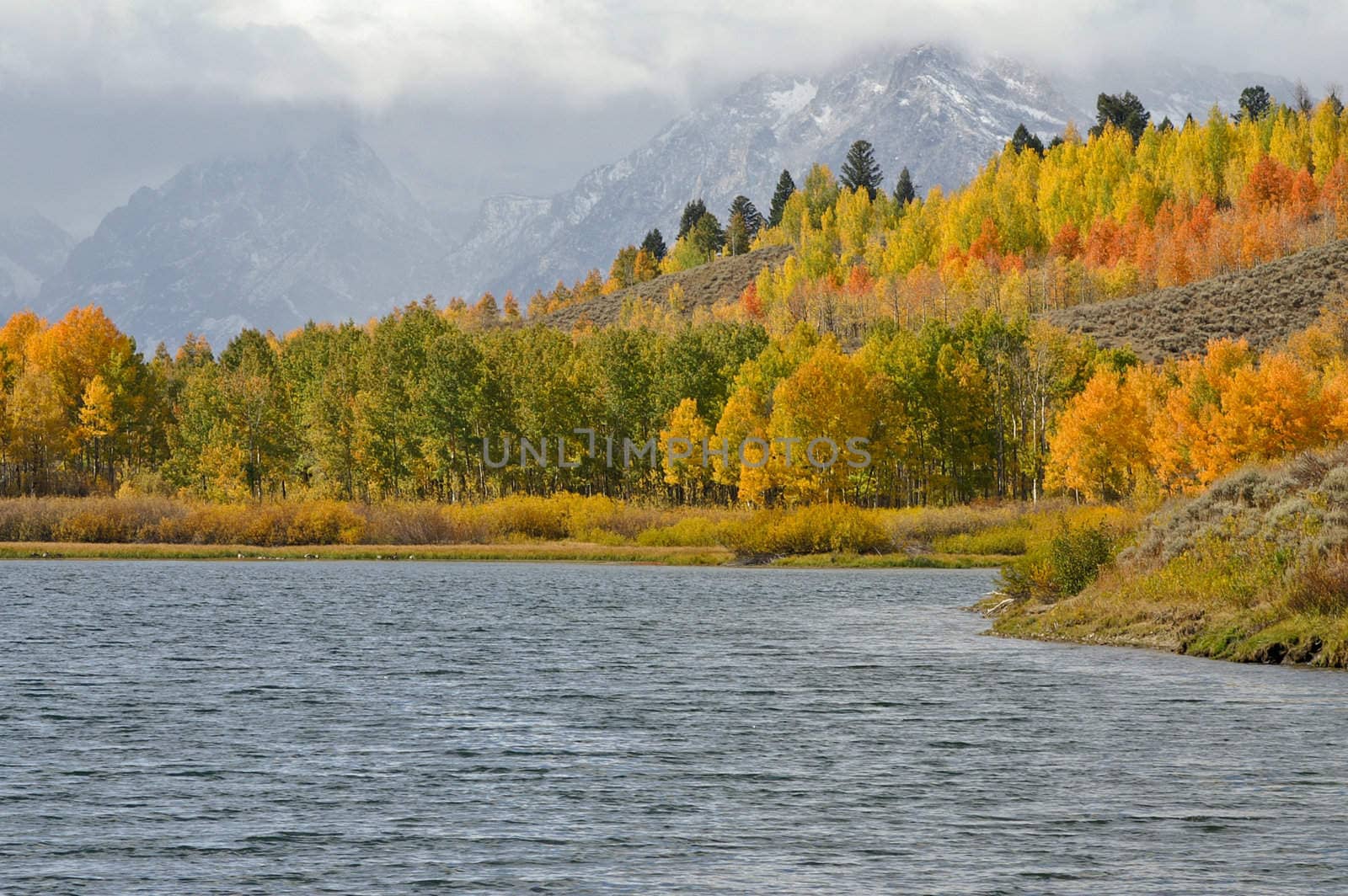 Tetons decked in Fall colors