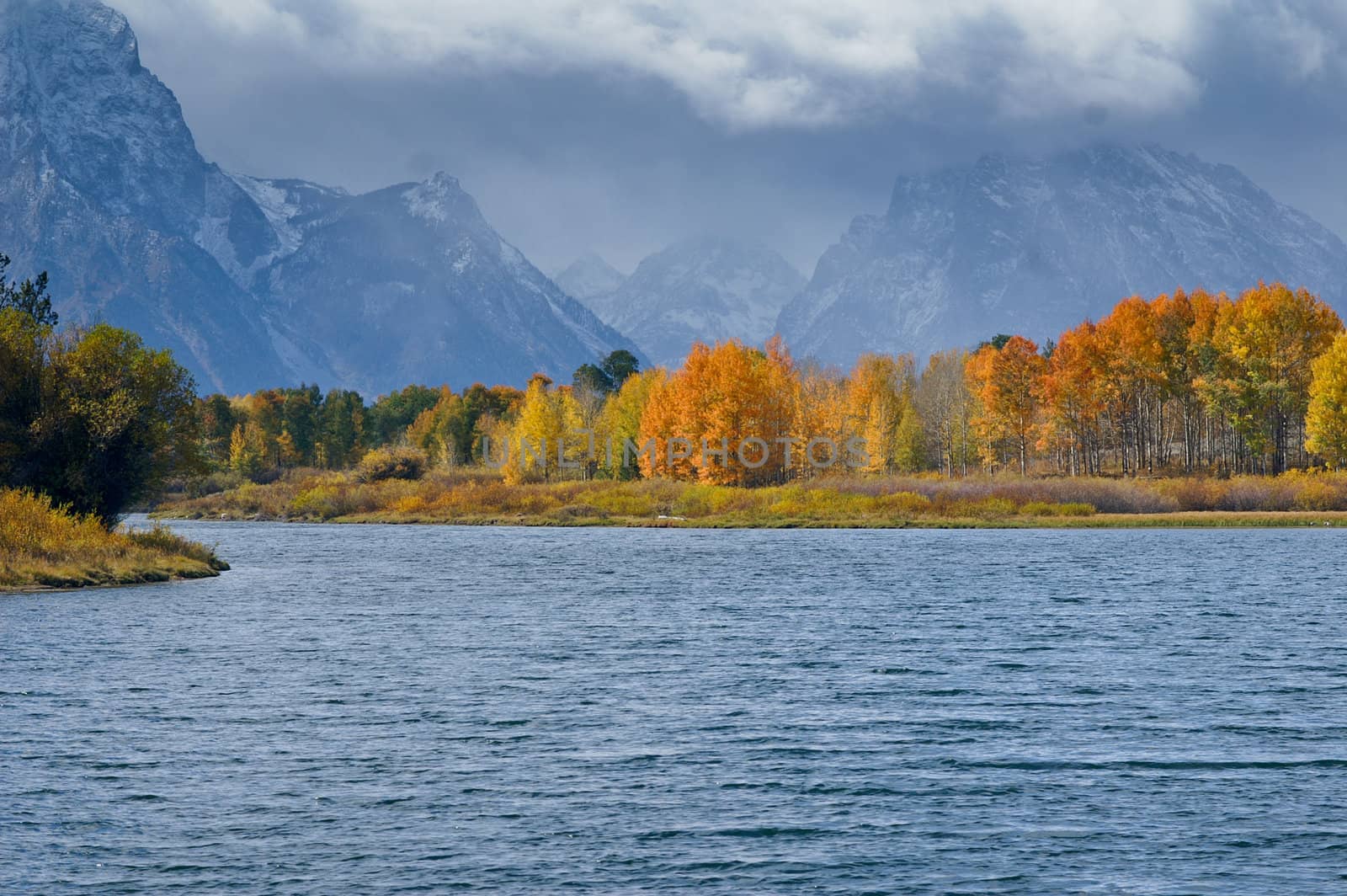 Autumnal colors at river Oxbow Bend Grand Tetons