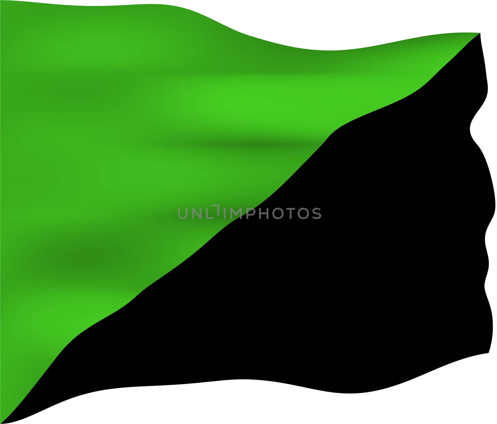 Green anarchism flag used by social ecologists, green anarchists, anti-civilization anarchists and anarcho-primitivists. It is generally taken to symbolize a vision of anarchism that focuses on the self-determination of all forms of life and not just humans, hence the green.
