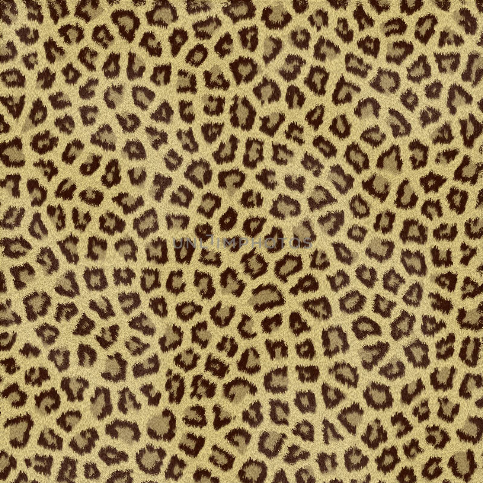 Jaguar Fur by Georgios