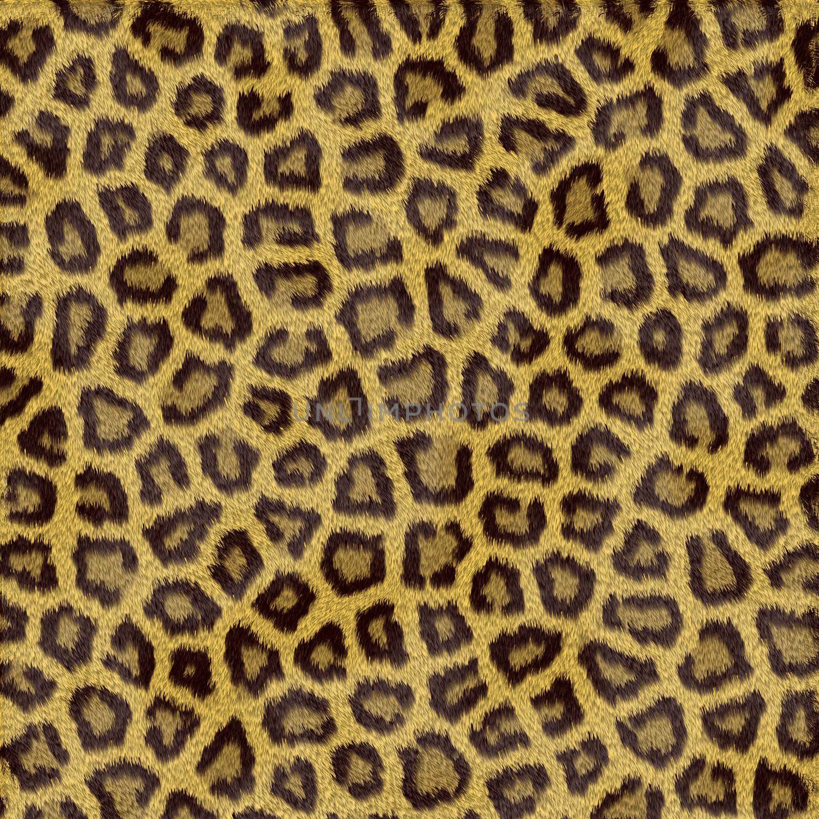 Leopard Fur by Georgios