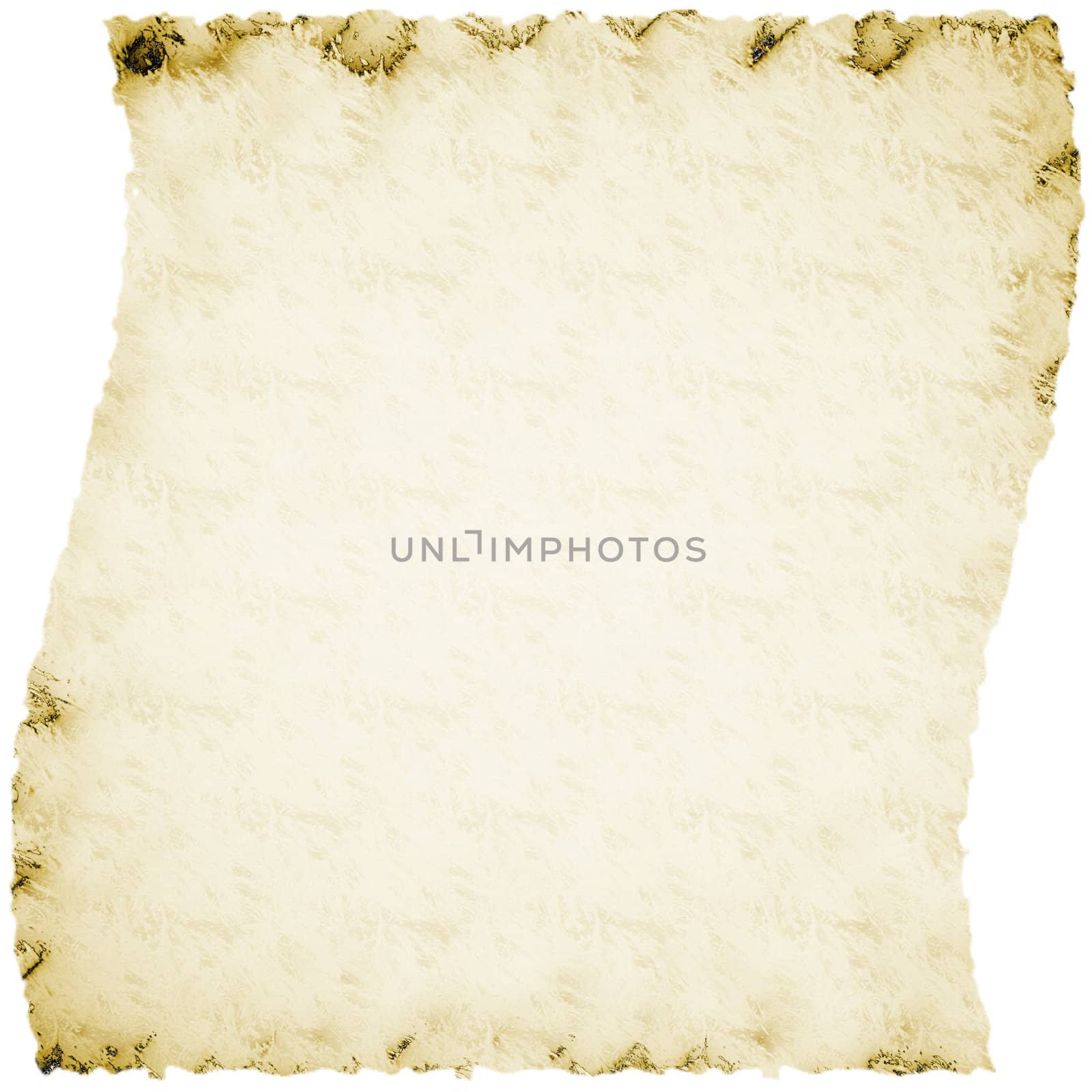 Papyrus isolated in white