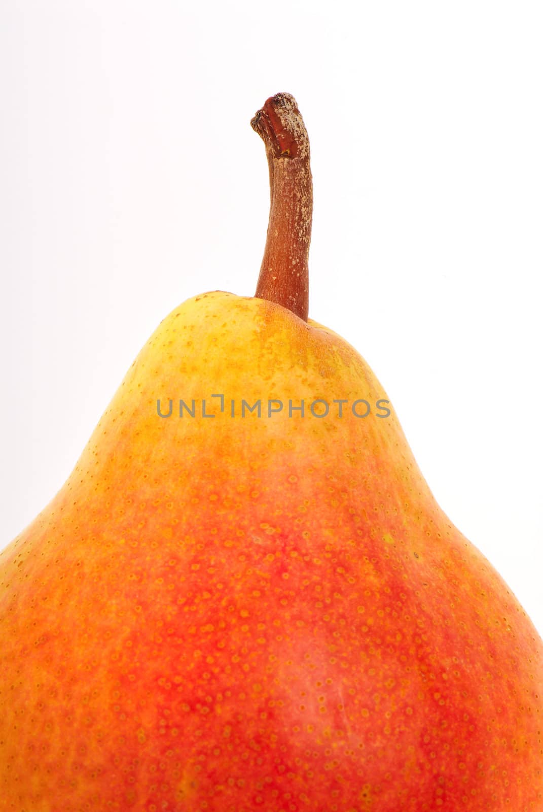 Ripe pear which has been removed in studio. A close up