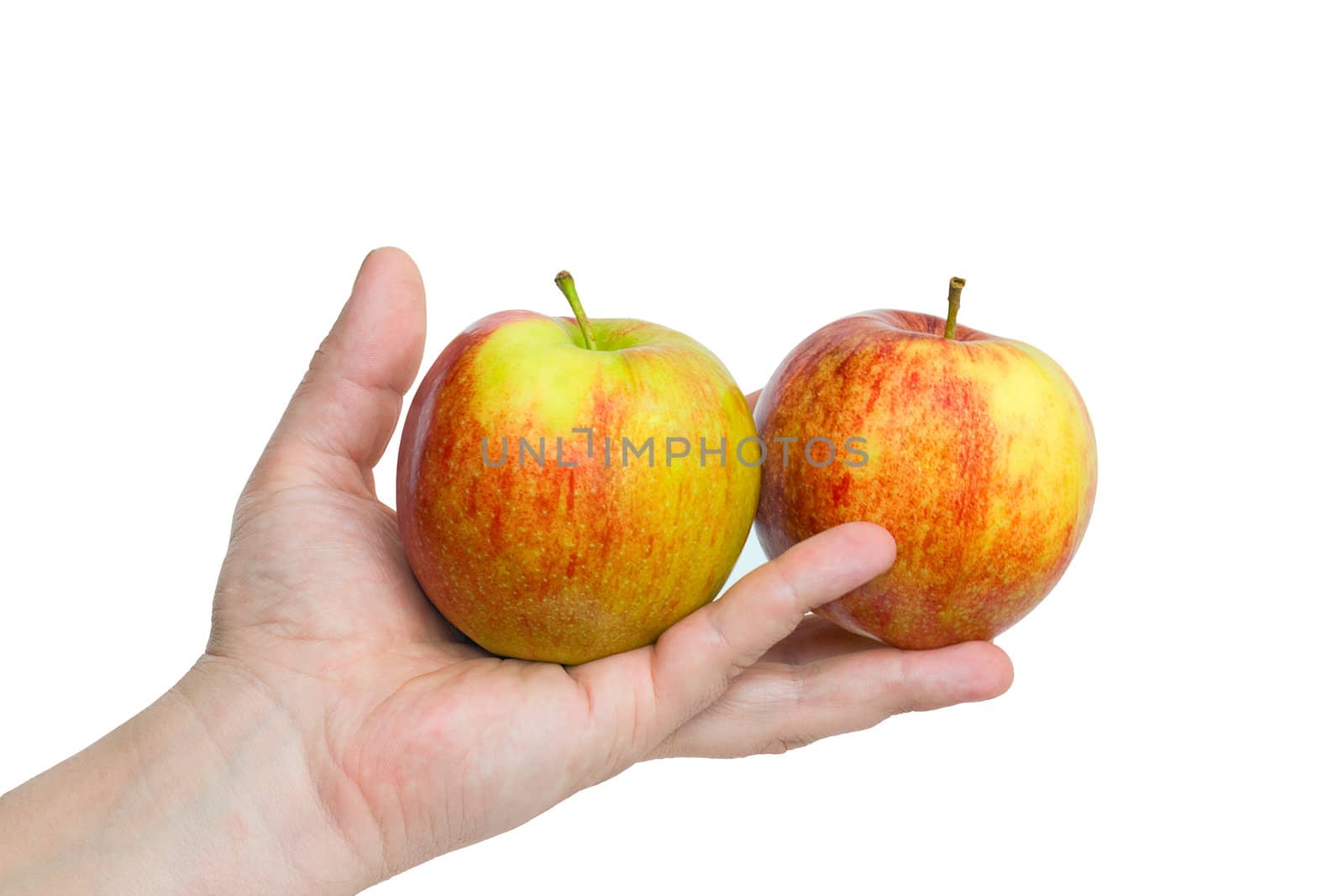 Two apples on palm, isolated on a white background.