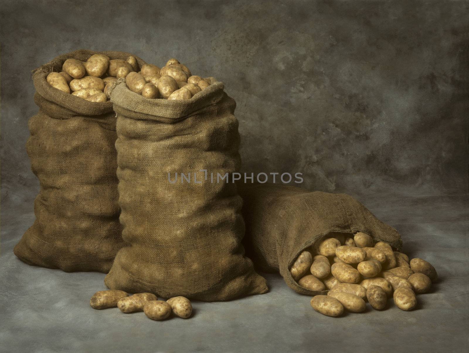 Three Burlap Sacks of Potatoes