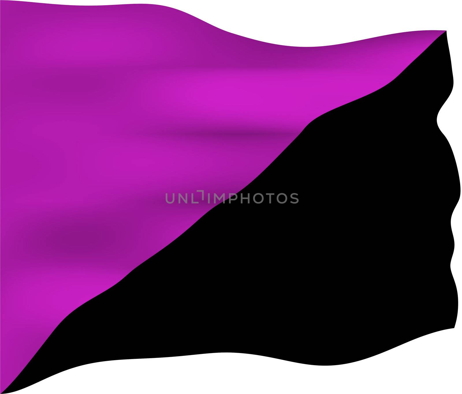 Anarchist feminism flag. Unlike other bisected anarchist flags, it does not necessarily represent another form of anarchism, but is used to focus on opposition to the hierarchical patterns of sexism and patriarchy.
