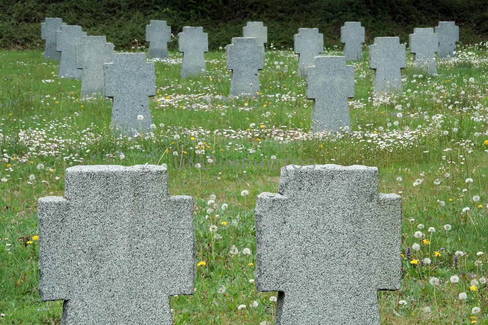 this nameless graveyard belongs to fallen german soldiers in Slovakia