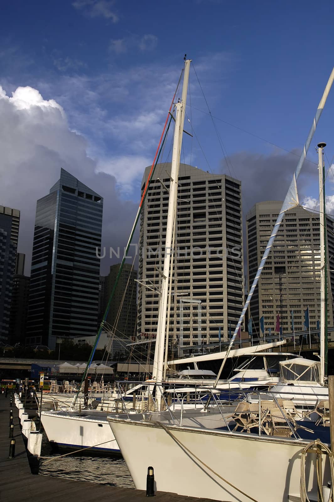 white yachts anchoring in city harbour, skyscrapers in background