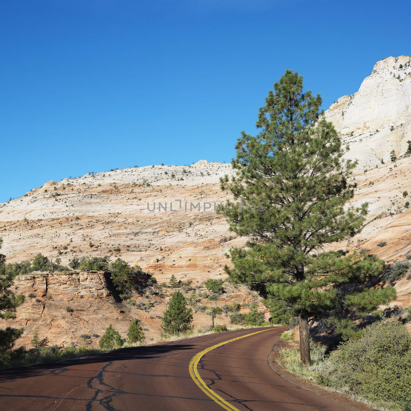 Two lane road winding along desert cliffs in Zion National Park, Utah.