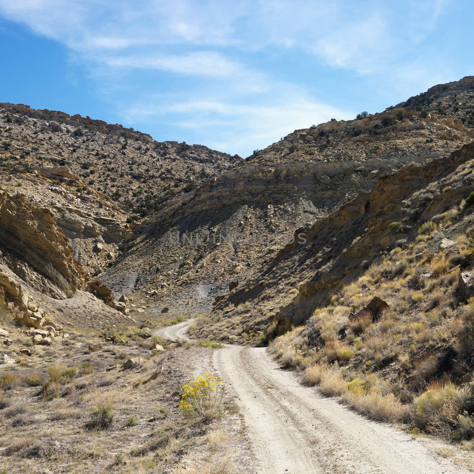 Dirt road winding through rocky desert cliffs of Cottonwood Canyon, Utah.